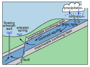 Artesian Well and Spring